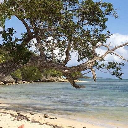 Saint-François recule sur la plage de la Coulée après la fronde des usagers