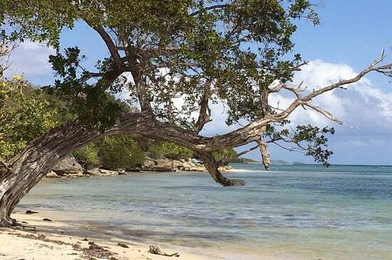 Saint-François recule sur la plage de la Coulée après la fronde des usagers