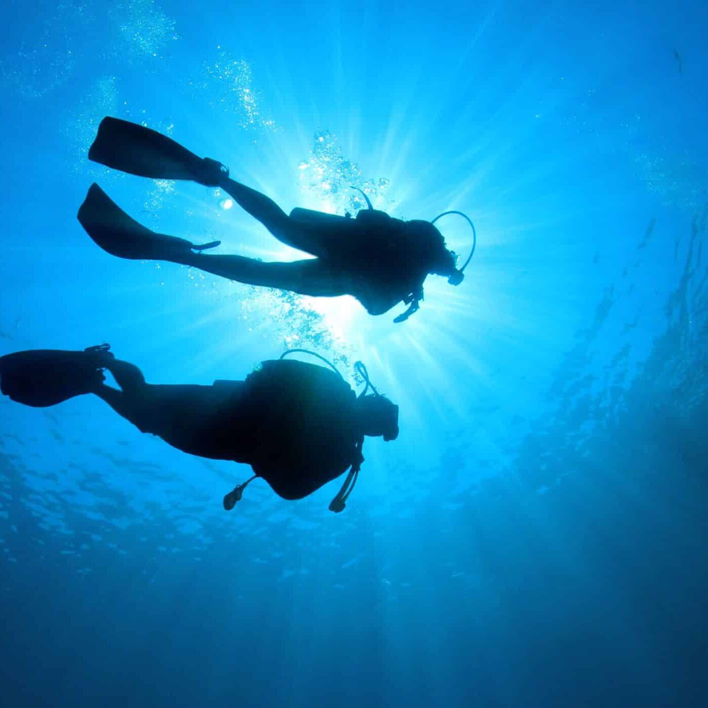 En Guadeloupe, la plongée devient un outil thérapeutique pour les victimes d’attentats