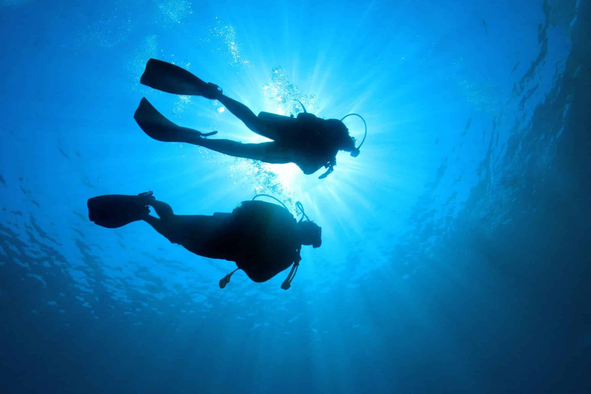 En Guadeloupe, la plongée devient un outil thérapeutique pour les victimes d’attentats