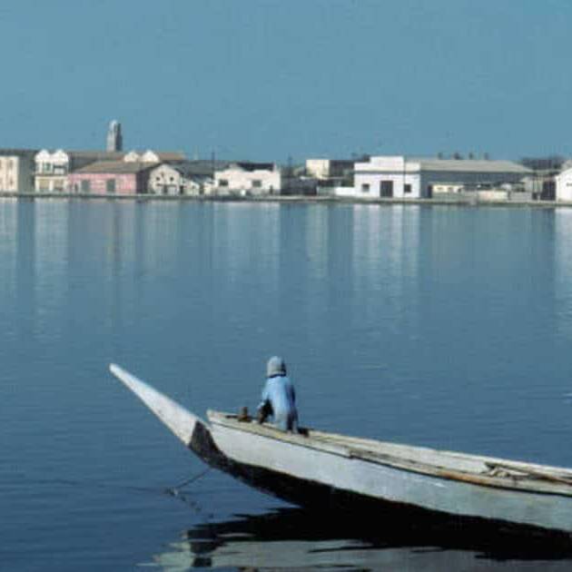 Des centaines de poissons retrouvés morts à l’étang du Gol, l’alerte relancée à Saint-Louis
