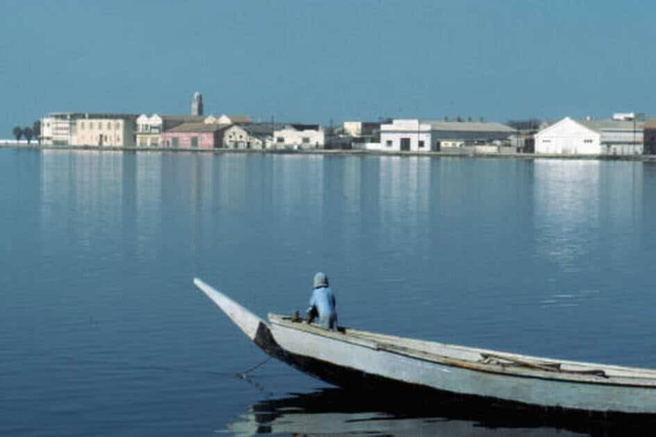 Des centaines de poissons retrouvés morts à l’étang du Gol, l’alerte relancée à Saint-Louis