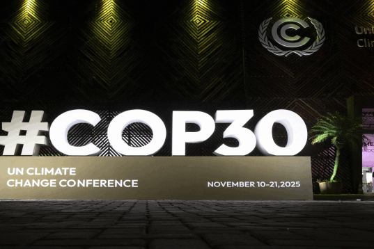 Des innovations guyanaises mises en avant à la COP30