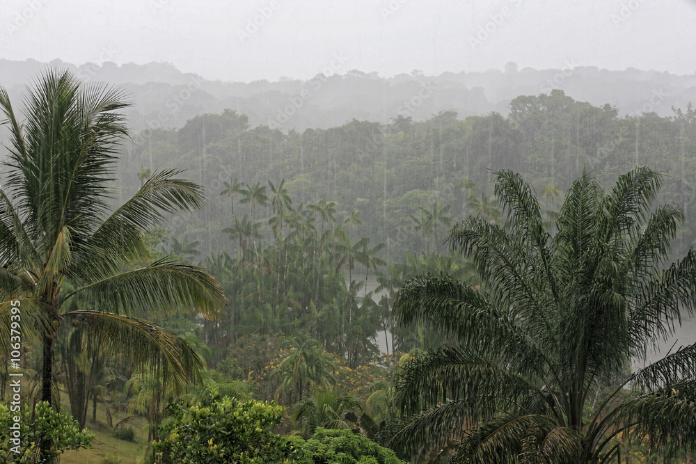 En Guyane, la petite saison des pluies fait son retour