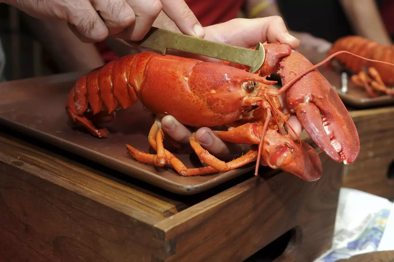 Saint-Pierre-et-Miquelon : l’exportation de homards vivants vers l’Hexagone reportée à 2026