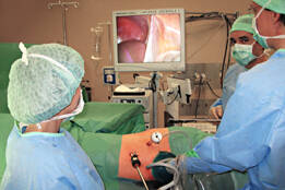 Polynésie : la suspension des greffes rénales révèle une fragilité sanitaire qu’il faudra affronter avec lucidité