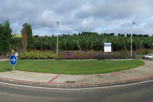 Martinique : une piétonne de 38 ans grièvement blessée après avoir été percutée par un véhicule