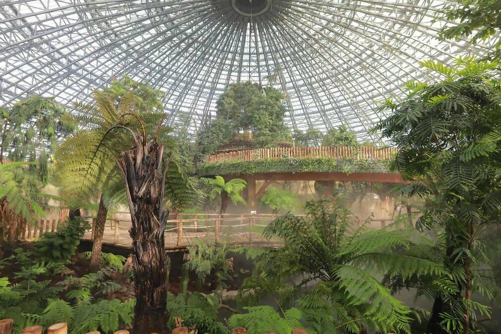 Kwatas transférés de Guyane au zoo de Beauval : retour sur une polémique autour de la protection animale
