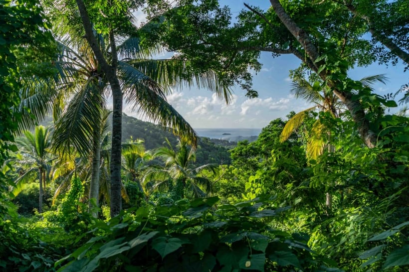 Combani : l’État reprend la main pour protéger l’eau et faire reculer l’occupation illégale