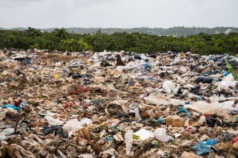 Tri des déchets en Guadeloupe : les volumes progressent, et le bac jaune va accueillir tous les emballages en 2026