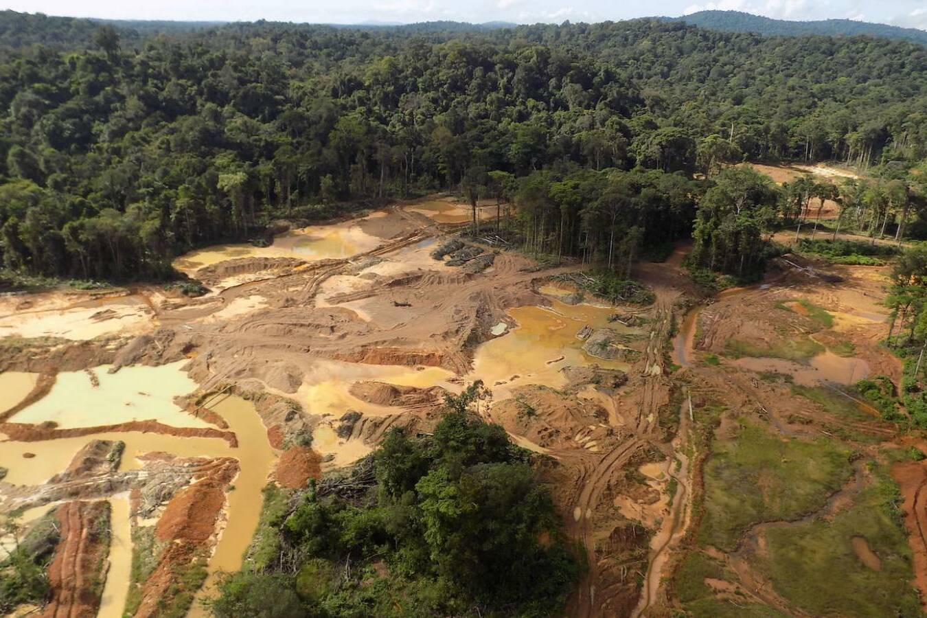 Guyane : neuf militaires renvoyés devant la justice pour des faits présumés commis lors d’une opération contre l’orpaillage illégal