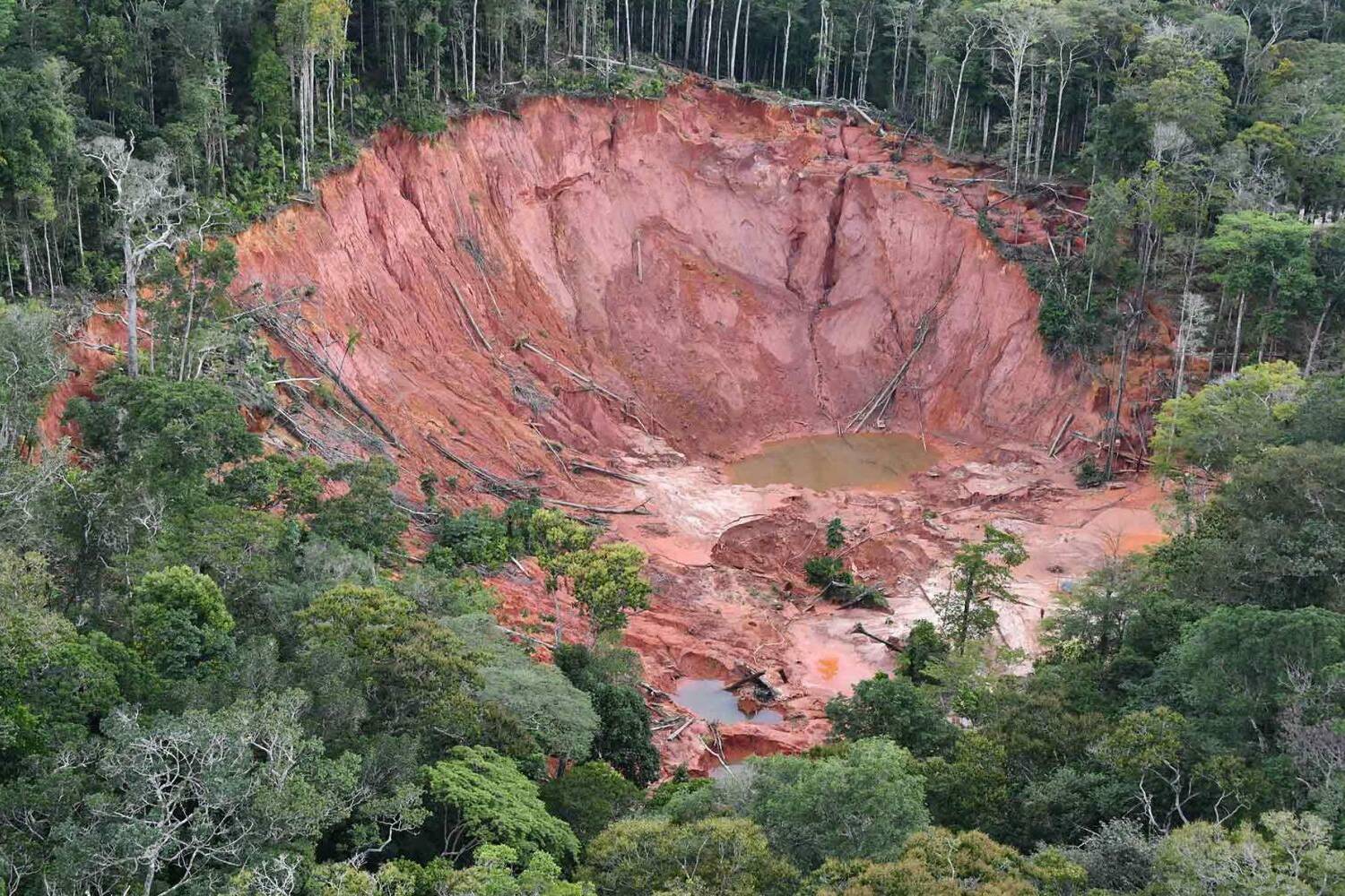 Guyane : l’État face au « plafond de verre » de l’orpaillage illégal