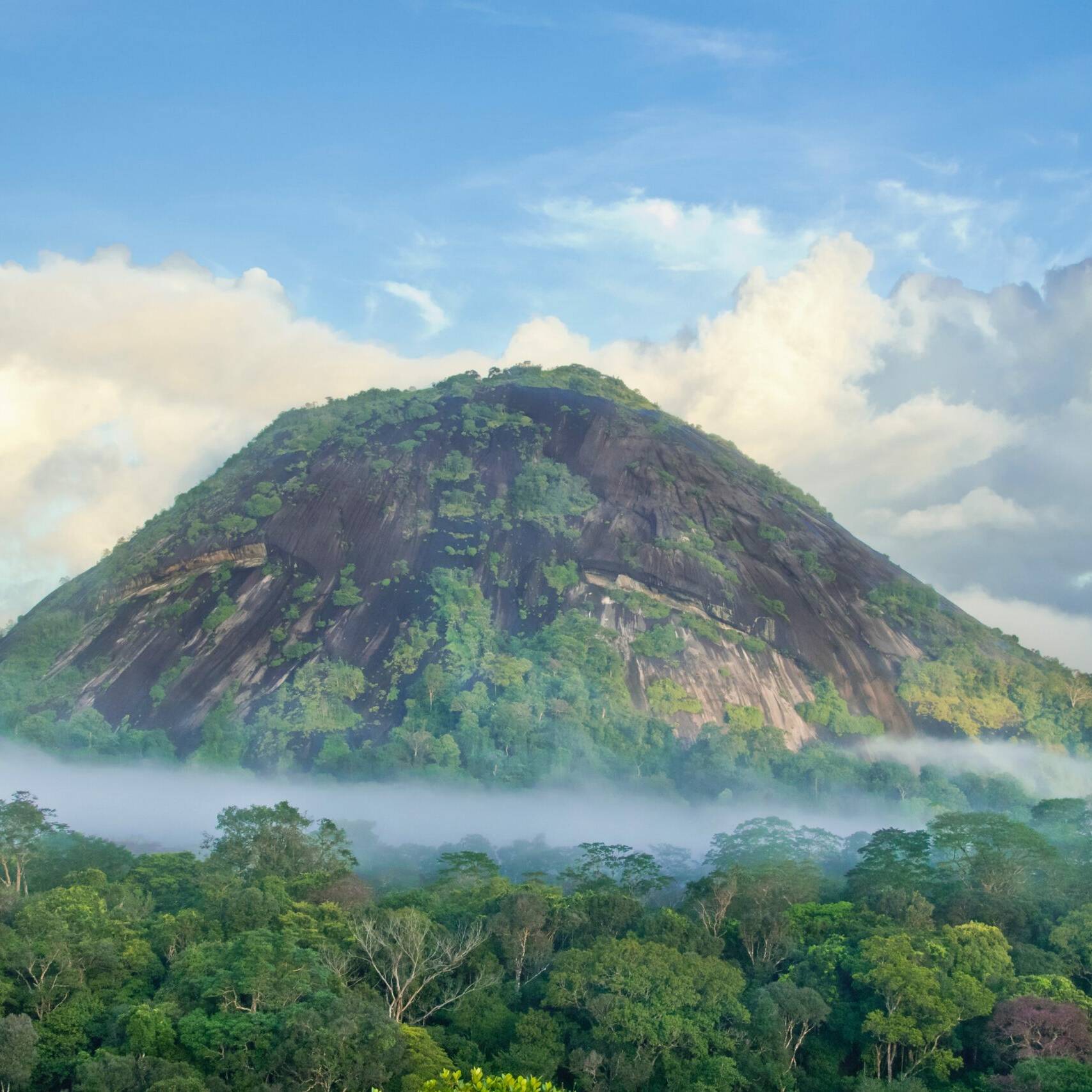 Rage humaine en Amapá : un pêcheur attaqué près de l’Oyapock, alerte sanitaire à la frontière
