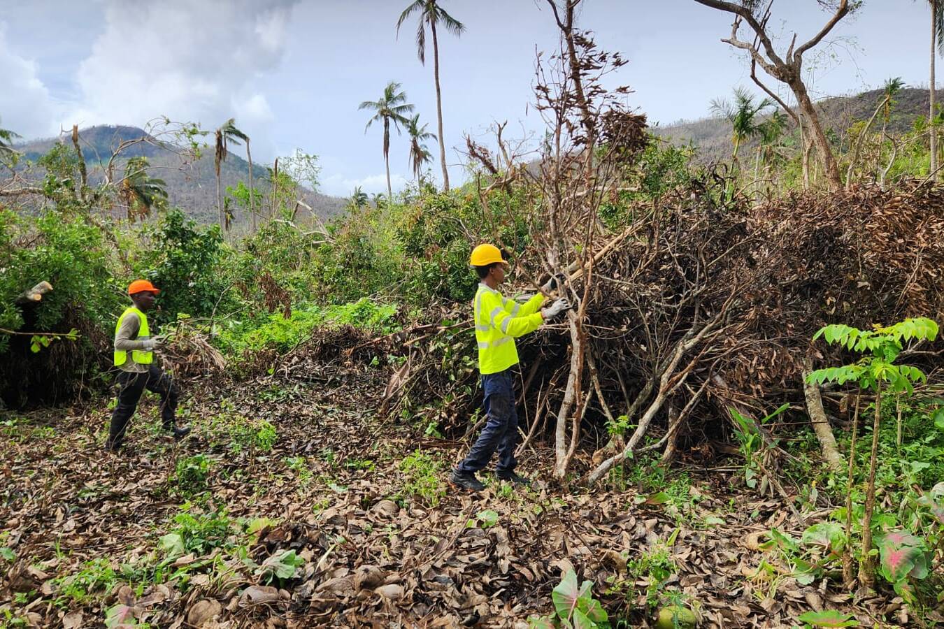Mayotte : des ouvriers en insertion mobilisés pour restaurer le lac Karihani, fragilisé par Chido