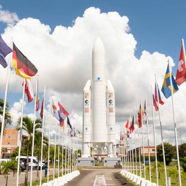 Kourou : le centre spatial reconnu coupable de destruction d’espèces protégées