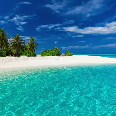 Île d’Alofi : des règles renforcées pour protéger un site naturel emblématique de Futuna