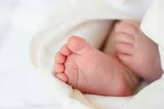 Congé de naissance : l’entrée en vigueur repoussée à juillet 2026, un dispositif transitoire prévu pour les familles
