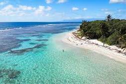 Alerte à Sainte-Anne : prudence maximale après deux signalements de prédateurs marins