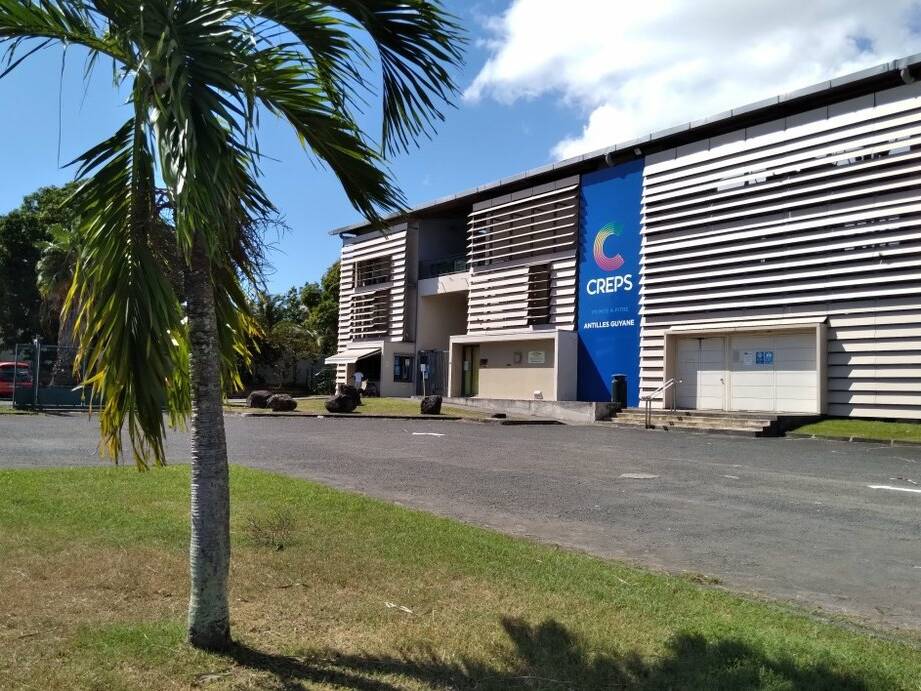 Boxe caribéenne : la Guadeloupe, tremplin d’excellence pour les talents de Sainte-Lucie