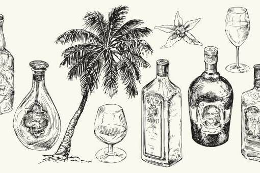 Rhum ultramarin : quand la baisse des ventes révèle un choc culturel et fiscal