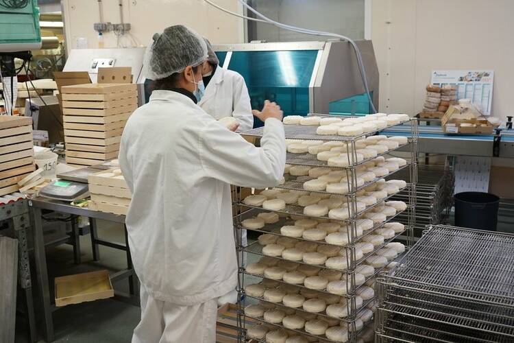 Du dombré à l’usine : la Guadeloupe montre qu’elle peut produire, transformer et exporter