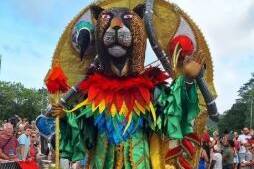 Vaval lance la saison, Cayenne en liesse malgré les trombes d’eau