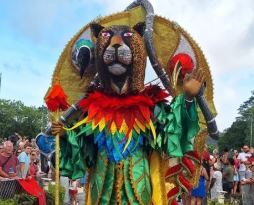 Vaval lance la saison, Cayenne en liesse malgré les trombes d’eau