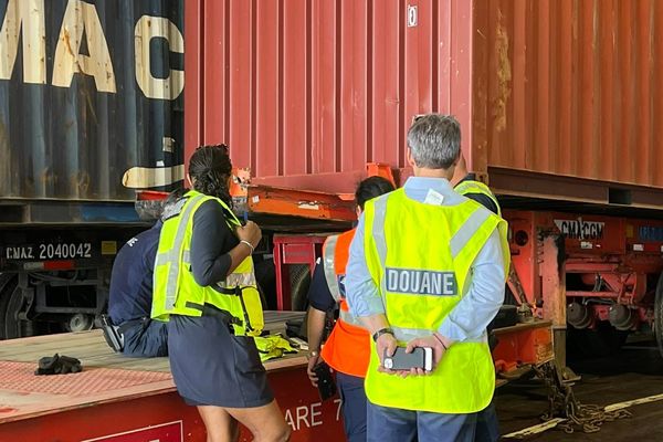 Guadeloupe : les douanes interceptent près de 500 vernis à ongles interdits, contenant une substance jugée dangereuse