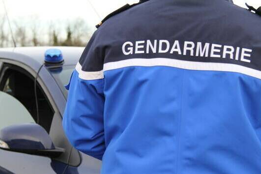 Vols de fruits : l’État renforce les contrôles sur les étals de bord de route à La Réunion