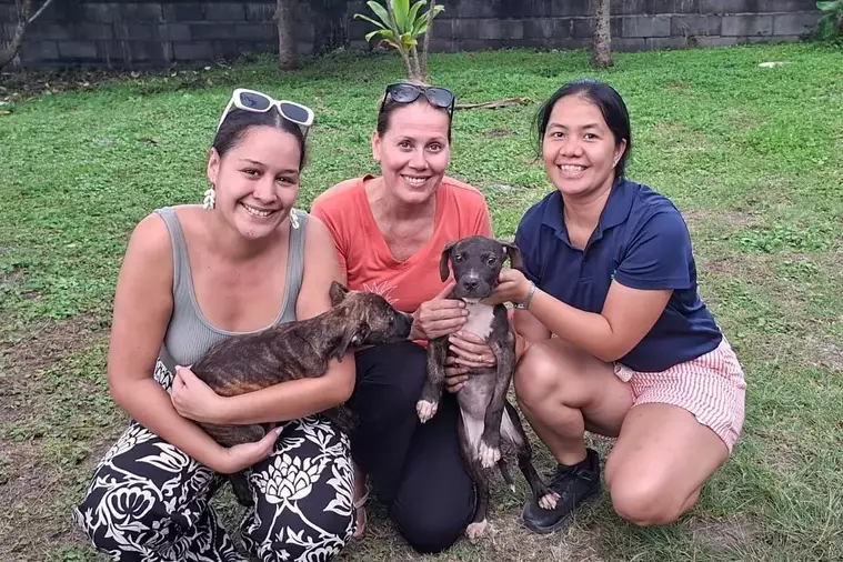Moorea : un premier refuge animal en projet, fruit d’un partenariat local structurant