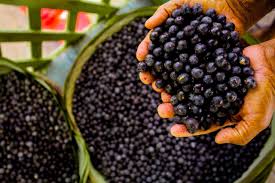 Le Brésil érige l’açaí en fruit national, un signal fort jusqu’en Guyane