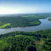 Amazonie et Guyane, quand climat et déforestation deviennent des enjeux de sécurité