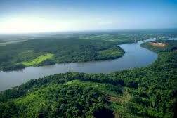 Amazonie et Guyane, quand climat et déforestation deviennent des enjeux de sécurité