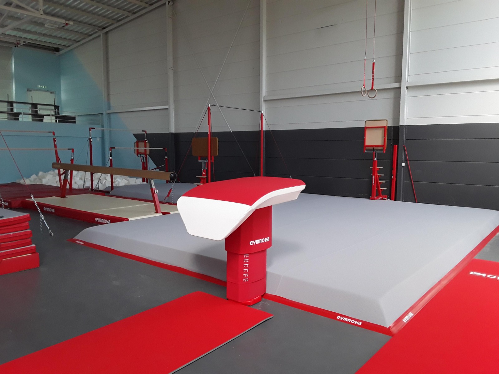 Gymnastique : 250 jeunes Guyanaises attendues à Matoury pour le championnat régional