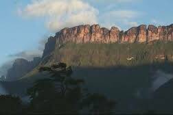 Guyane, l’opération Guiana Shield frappe les réseaux de l’orpaillage illégal avec une coopération régionale renforcée