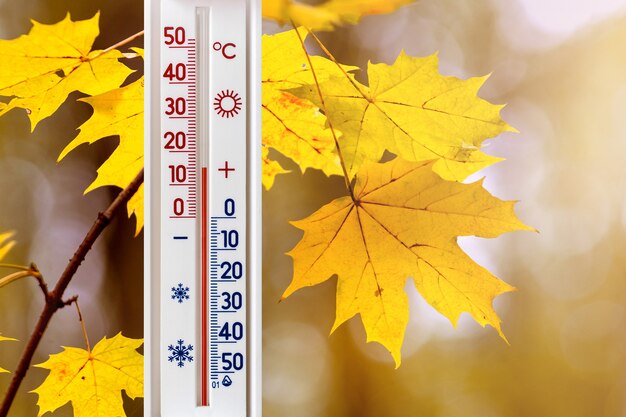 Guadeloupe : pourquoi les nuits sont-elles plus fraîches en ce moment ?