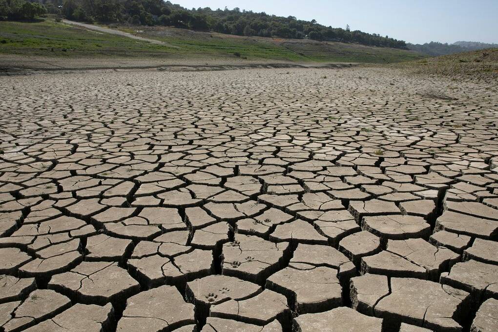 Sécheresse 2025 : l’État appelle les agriculteurs martiniquais à déposer leur dossier d’indemnisation