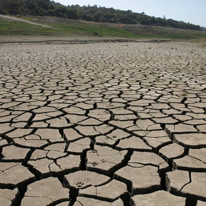 Sécheresse 2025 : l’État appelle les agriculteurs martiniquais à déposer leur dossier d’indemnisation