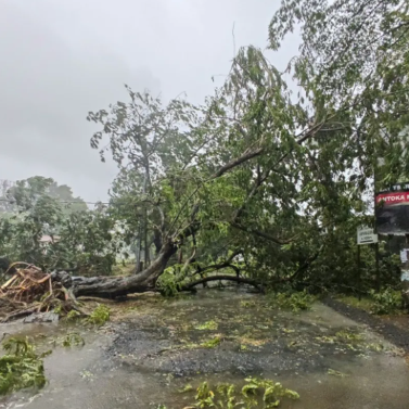 Cyclone Gezani : 31 morts à Madagascar, Tamatave dévastée à 90 %