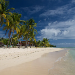 Marie-Galante : un homme retrouvé pendu à Grand-Bourg