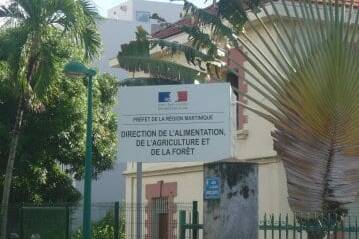 Martinique : dernier appel aux agriculteurs pour déclarer leurs pertes