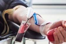 Nouvelle-Calédonie : les collectes de sang se multiplient en février pour regonfler les stocks