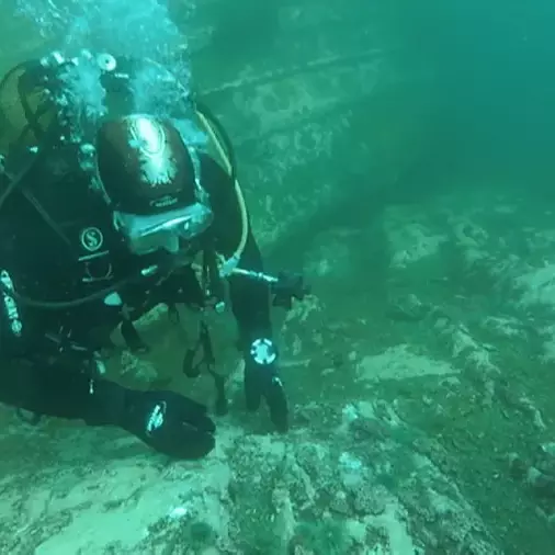 Saint-Pierre-et-Miquelon : une mission scientifique met au jour une biodiversité marine insoupçonnée