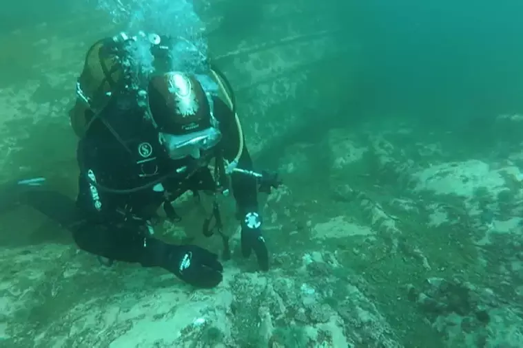 Saint-Pierre-et-Miquelon : une mission scientifique met au jour une biodiversité marine insoupçonnée