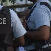 Fort-de-France frappée par les balles en plein carnaval : un mort, deux blessés