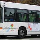 Mayotte lance enfin son premier réseau de bus