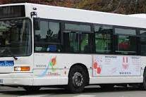 Mayotte lance enfin son premier réseau de bus