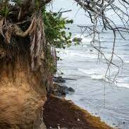 Recul du trait de côte : deux nouvelles communes guadeloupéennes officiellement classées