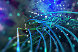 La Réunion engage sa transformation digitale avec le Contrat de Filière Numérique 2026-2028