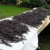 Salon de l’agriculture : la vanille des Marquises, nouvelle ambassadrice du savoir-faire polynésien